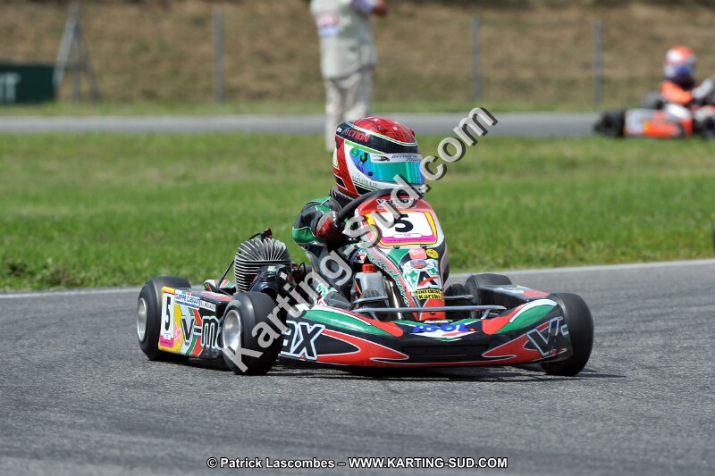 DSC_ (390).jpg